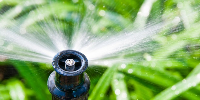 Are you overwatering your yard? - Save Water Texas Coalition